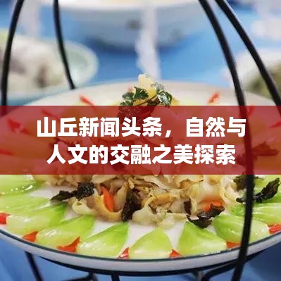 山丘新闻头条，自然与人文的交融之美探索