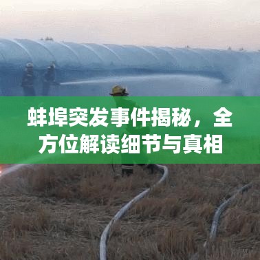 蚌埠突发事件揭秘，全方位解读细节与真相