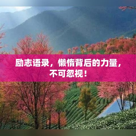 励志语录，懒惰背后的力量，不可忽视！