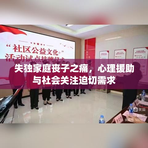 失独家庭丧子之痛，心理援助与社会关注迫切需求