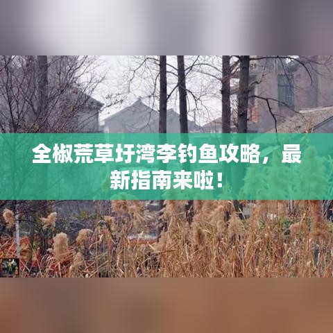 全椒荒草圩湾李钓鱼攻略，最新指南来啦！