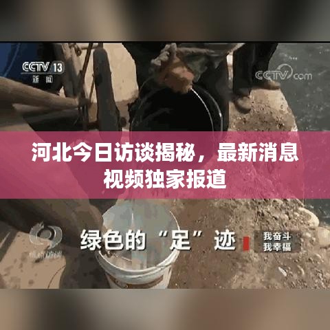 河北今日访谈揭秘，最新消息视频独家报道
