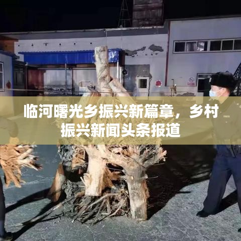 临河曙光乡振兴新篇章，乡村振兴新闻头条报道