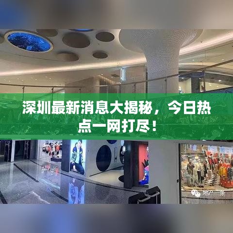 深圳最新消息大揭秘，今日热点一网打?。? class=