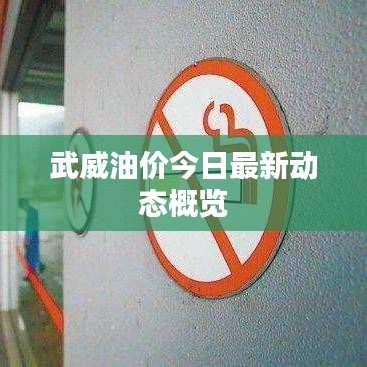 武威油价今日最新动态概览