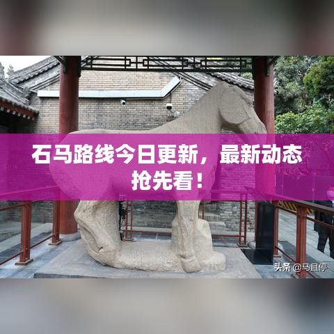 石马路线今日更新，最新动态抢先看！