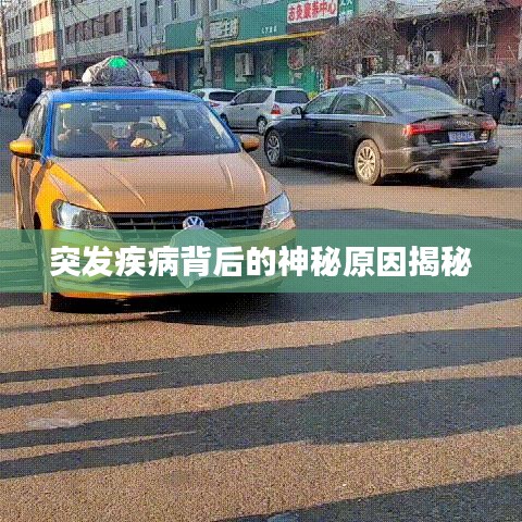产品中心 第198页