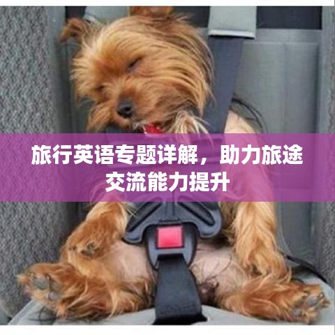 旅行英语专题详解，助力旅途交流能力提升