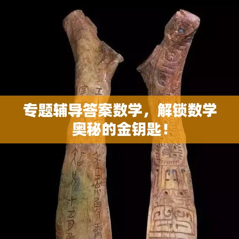 专题辅导答案数学，解锁数学奥秘的金钥匙！