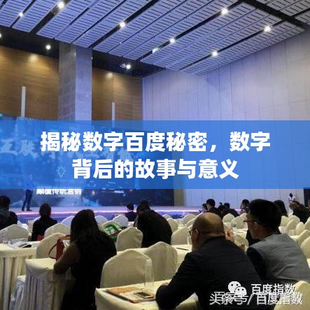 揭秘数字百度秘密，数字背后的故事与意义