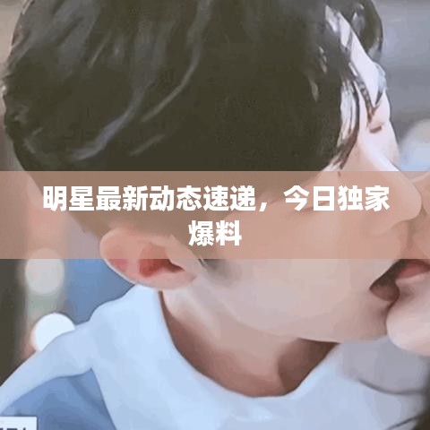 明星最新动态速递，今日独家爆料