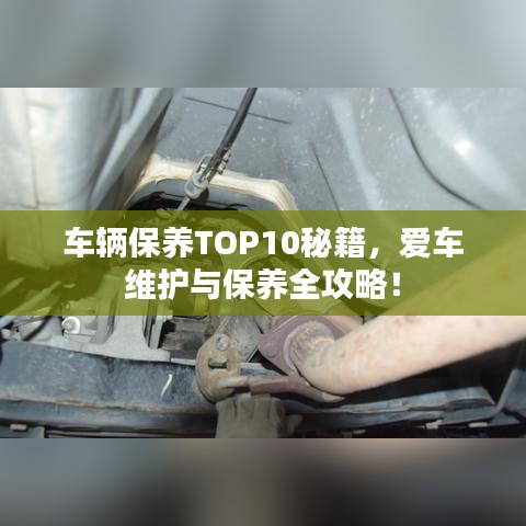 车辆保养TOP10秘籍，爱车维护与保养全攻略！