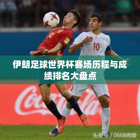 成功案例 第20页