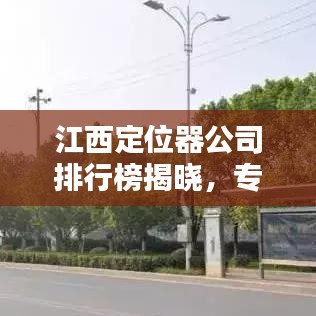 江西定位器公司排行榜揭晓，专业实力一览无余！
