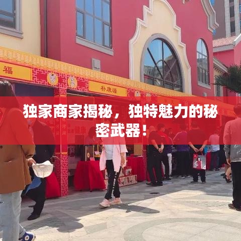 独家商家揭秘，独特魅力的秘密武器！