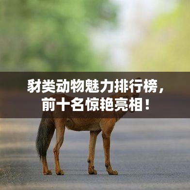 螺旋钢管 第17页