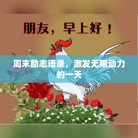 保温钢管 第17页