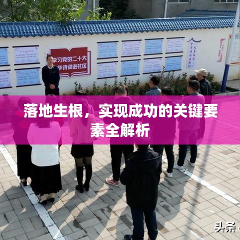 落地生根，实现成功的关键要素全解析