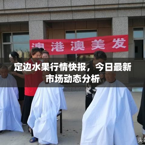 定边水果行情快报，今日最新市场动态分析