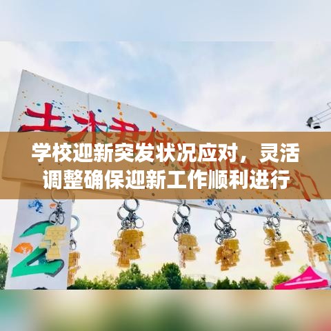 学校迎新突发状况应对，灵活调整确保迎新工作顺利进行