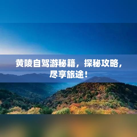 黄陵自驾游秘籍，探秘攻略，尽享旅途！