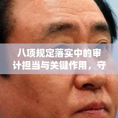 八项规定落实中的审计担当与关键作用，守护合规的守门人角色