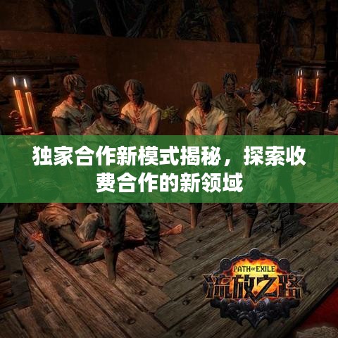 独家合作新模式揭秘，探索收费合作的新领域