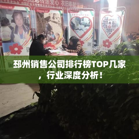 邳州销售公司排行榜TOP几家，行业深度分析！