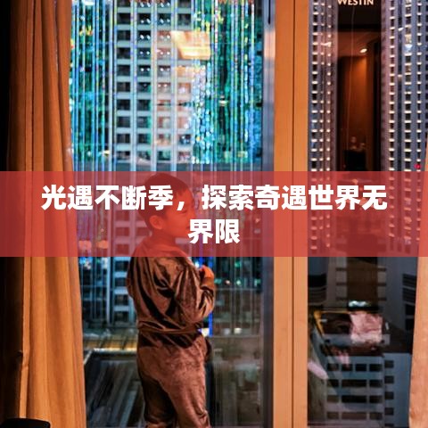 成功案例 第13页