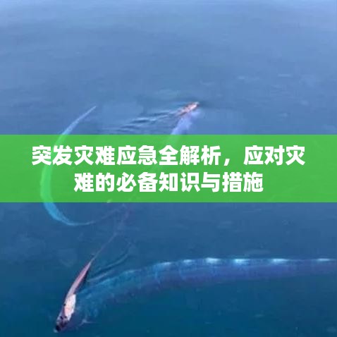 突发灾难应急全解析，应对灾难的必备知识与措施