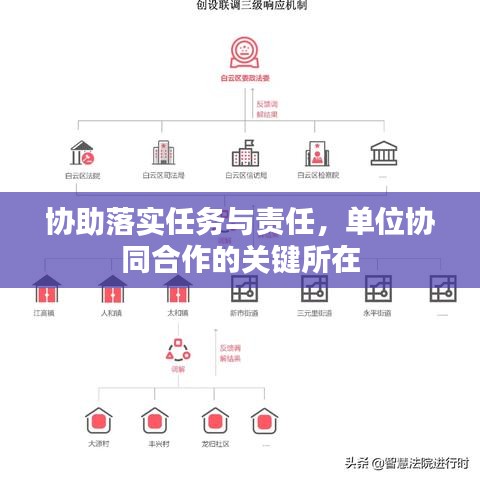 协助落实任务与责任，单位协同合作的关键所在