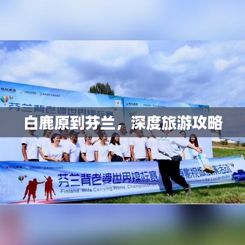 白鹿原到芬兰，深度旅游攻略