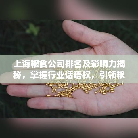 上海粮食公司排名及影响力揭秘，掌握行业话语权，引领粮食产业新风向！