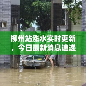 柳州站涨水实时更新，今日最新消息速递