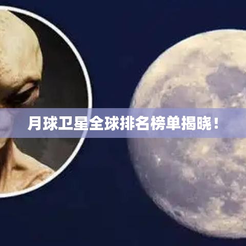 成功案例 第5页